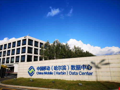 国内运营商最大单集群智算中心在哈尔滨建成投产